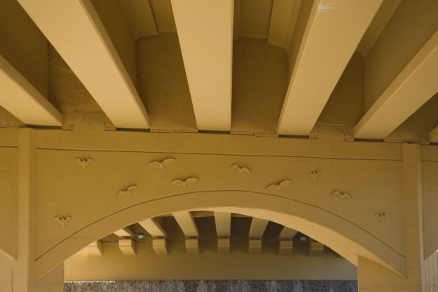 Public art along Streetcar route